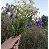 Аватар пользователя FriendlyWriter_2f54
