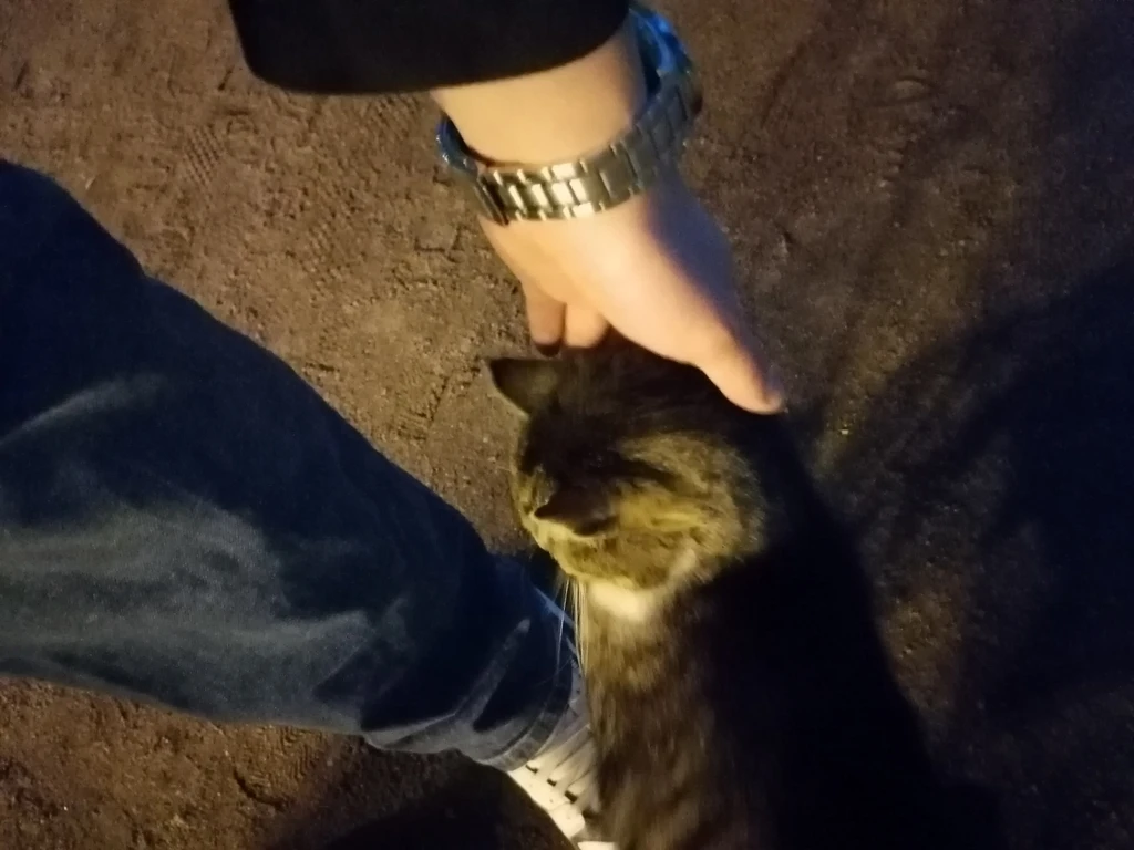 Аватар пользователя Newbie