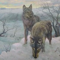Аватар пользователя Trifon_Lesovik