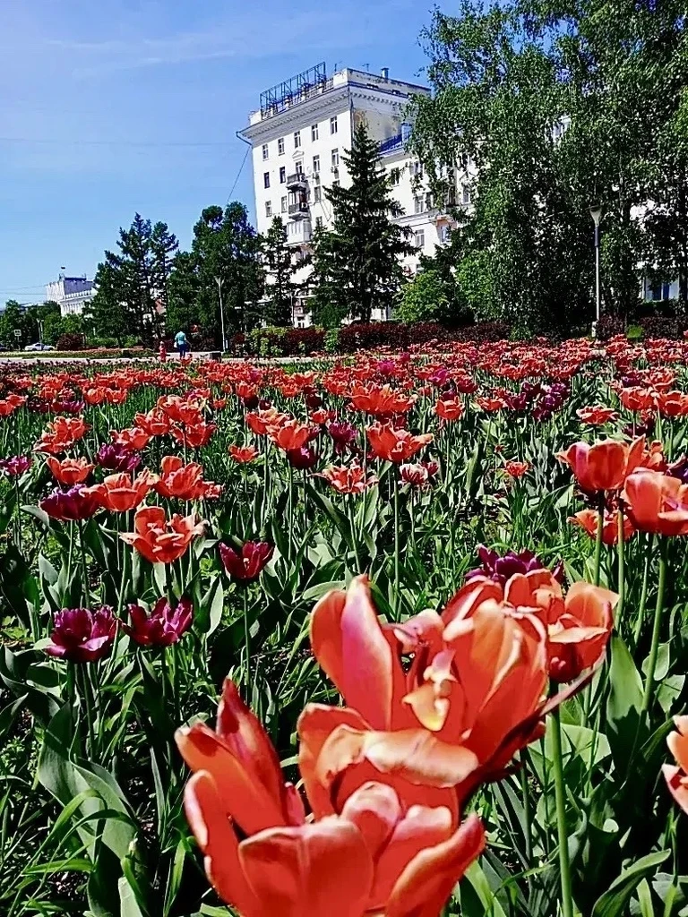 Аватар пользователя ellenavlladi