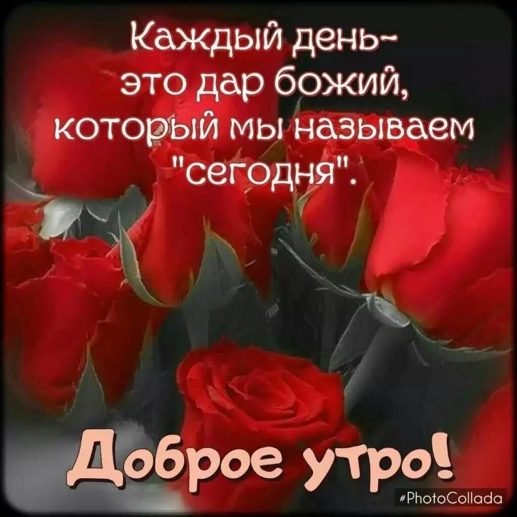 Аватар пользователя Romanuil