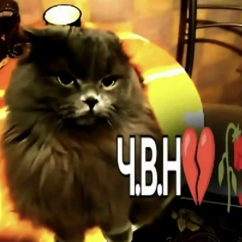 Аватар пользователя WisePlayer_f561