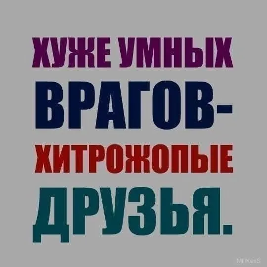 Аватар пользователя FriendlyMentor_3370
