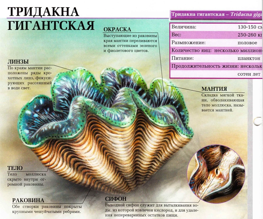 Аватар пользователя V_i_K_T_O_R_I_A_Z