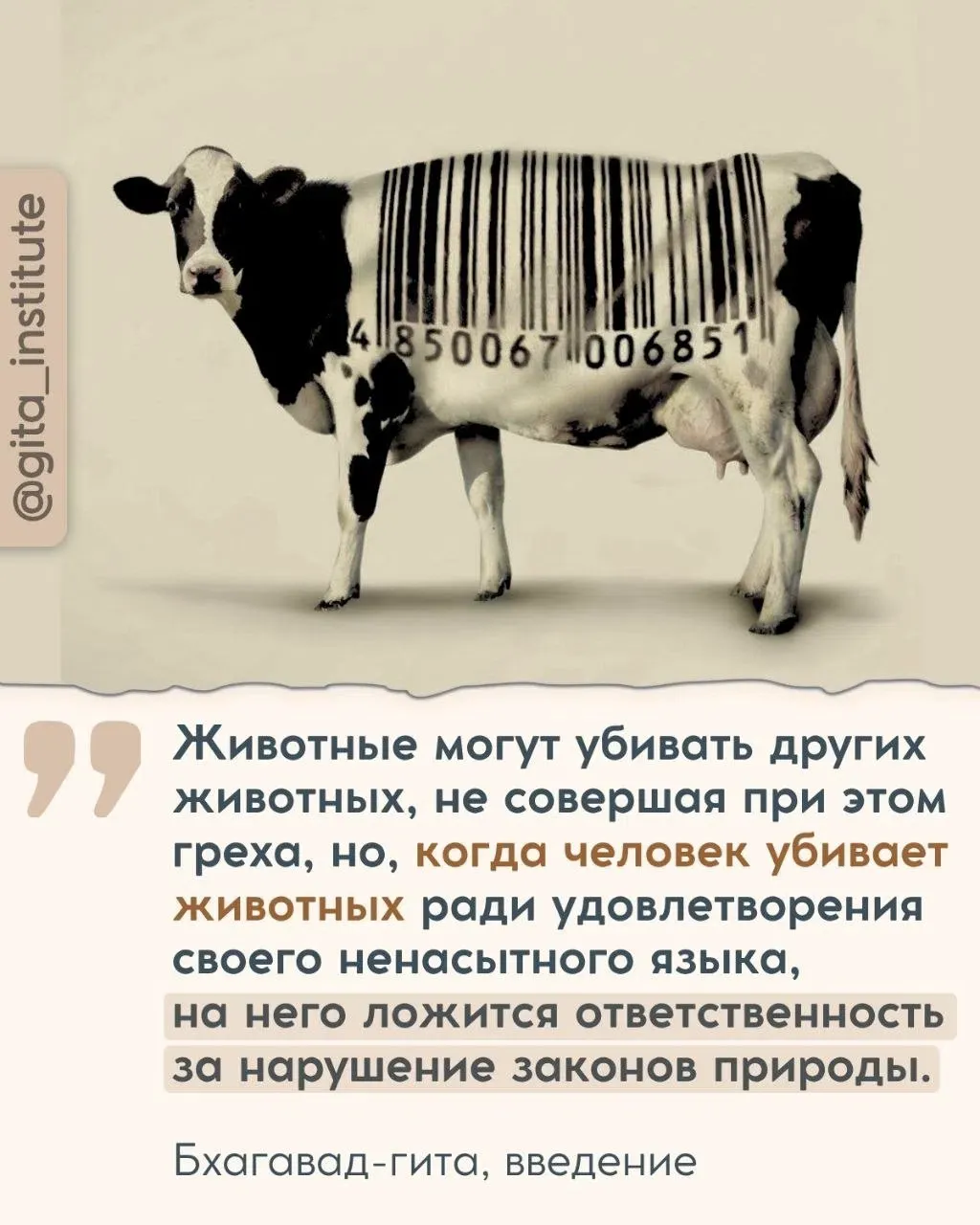 Изображение из поста - изображение
