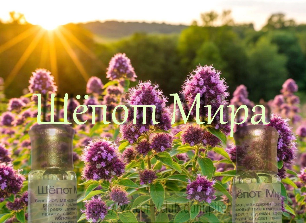 Иногда так тихо на Душе, Что слышать ШЕПОТ МИРА можно... Я давно поняла: о чем бы я ни думала, какие бы мысли - изображение