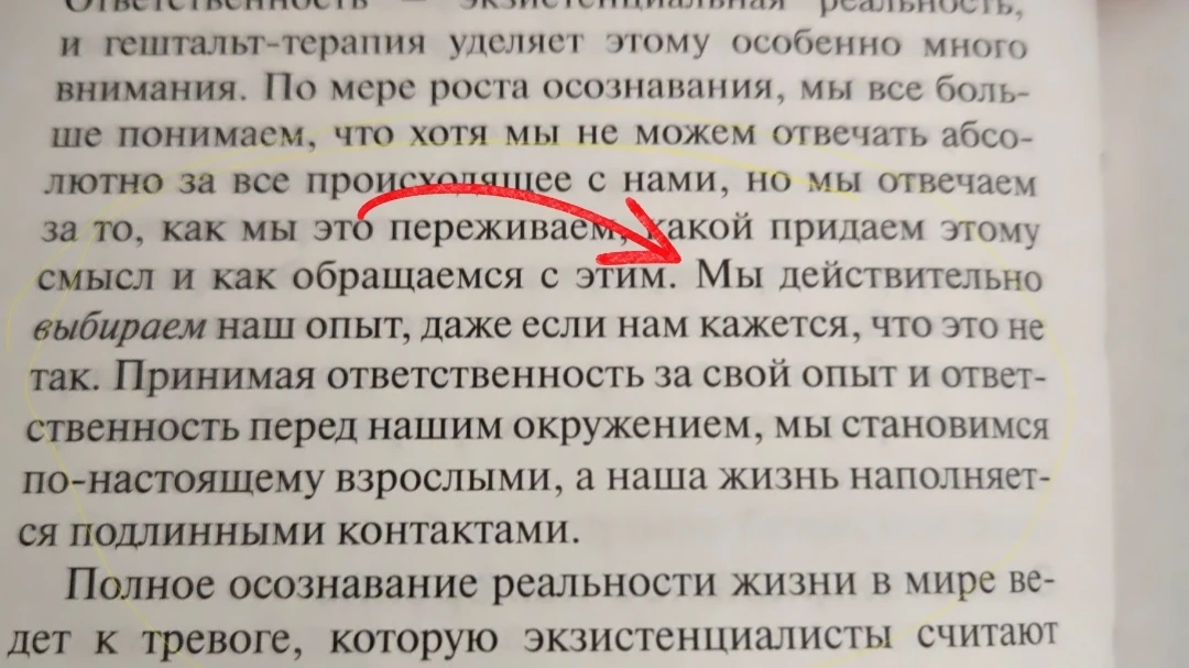Ответственность не про «ты сам виноват», а про «у меня есть выбор, как с этим быть». - изображение