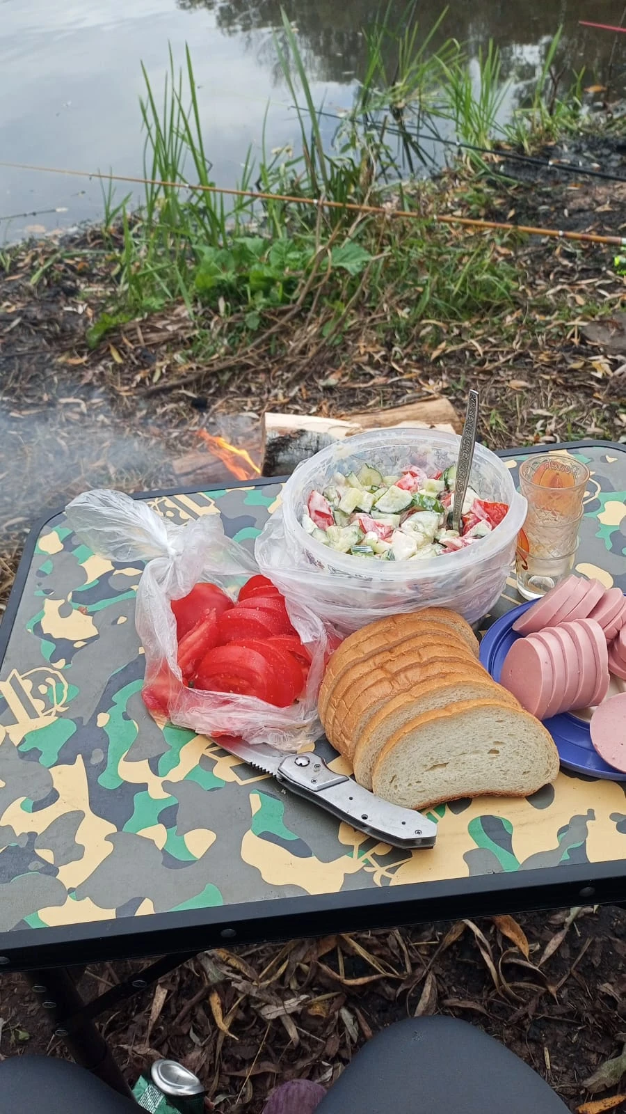 Ужин на природе кто самной. Составьте пожалуйста мне компанию. - изображение