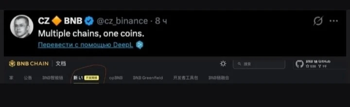 Чанпэн Чжао подтвердил в X – «Multiple chains, one coins BSC продолжит работать как есть, а новая сеть будет - изображение