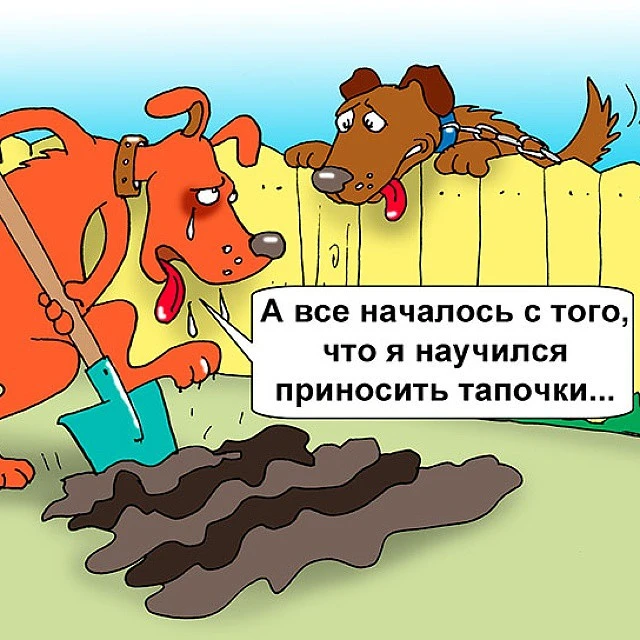 Изображение из поста - изображение