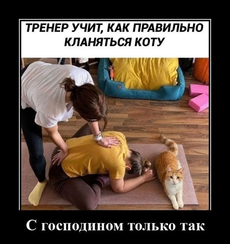 Изображение из поста - изображение
