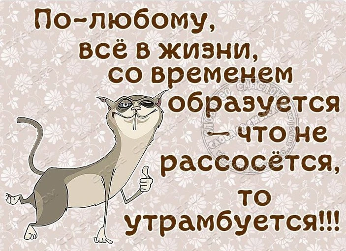 Изображение из поста - изображение