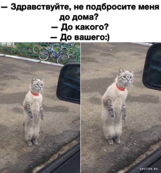Изображение из поста - изображение