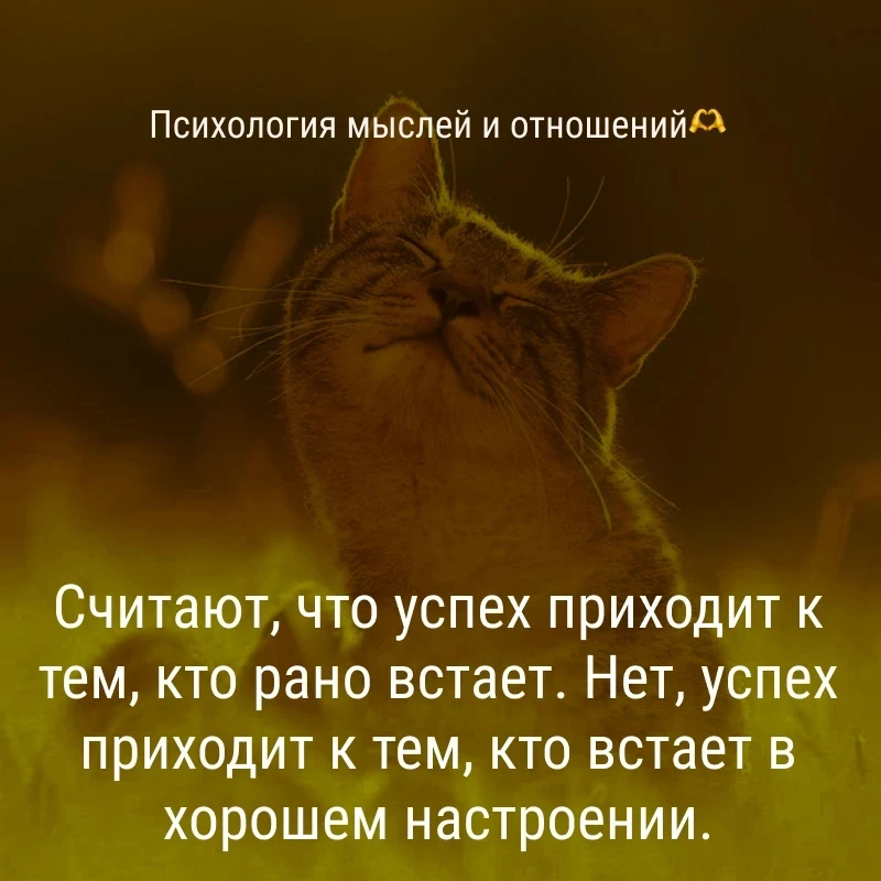 #мысли #татуха #фабула #мысливслух $BRZL - изображение