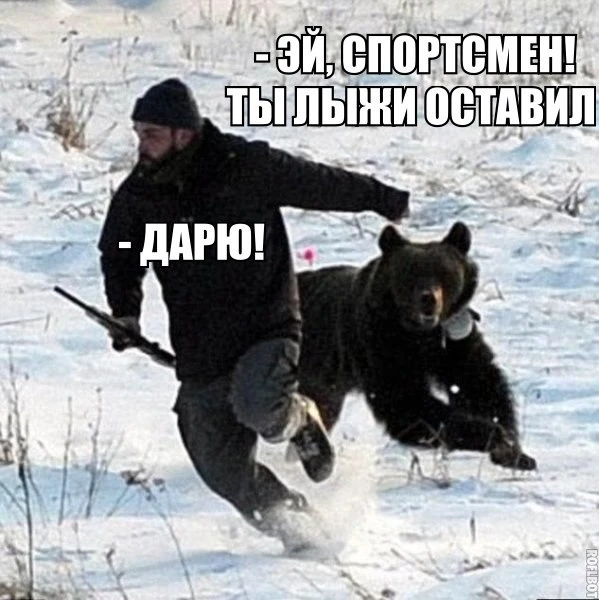 Изображение из поста - изображение