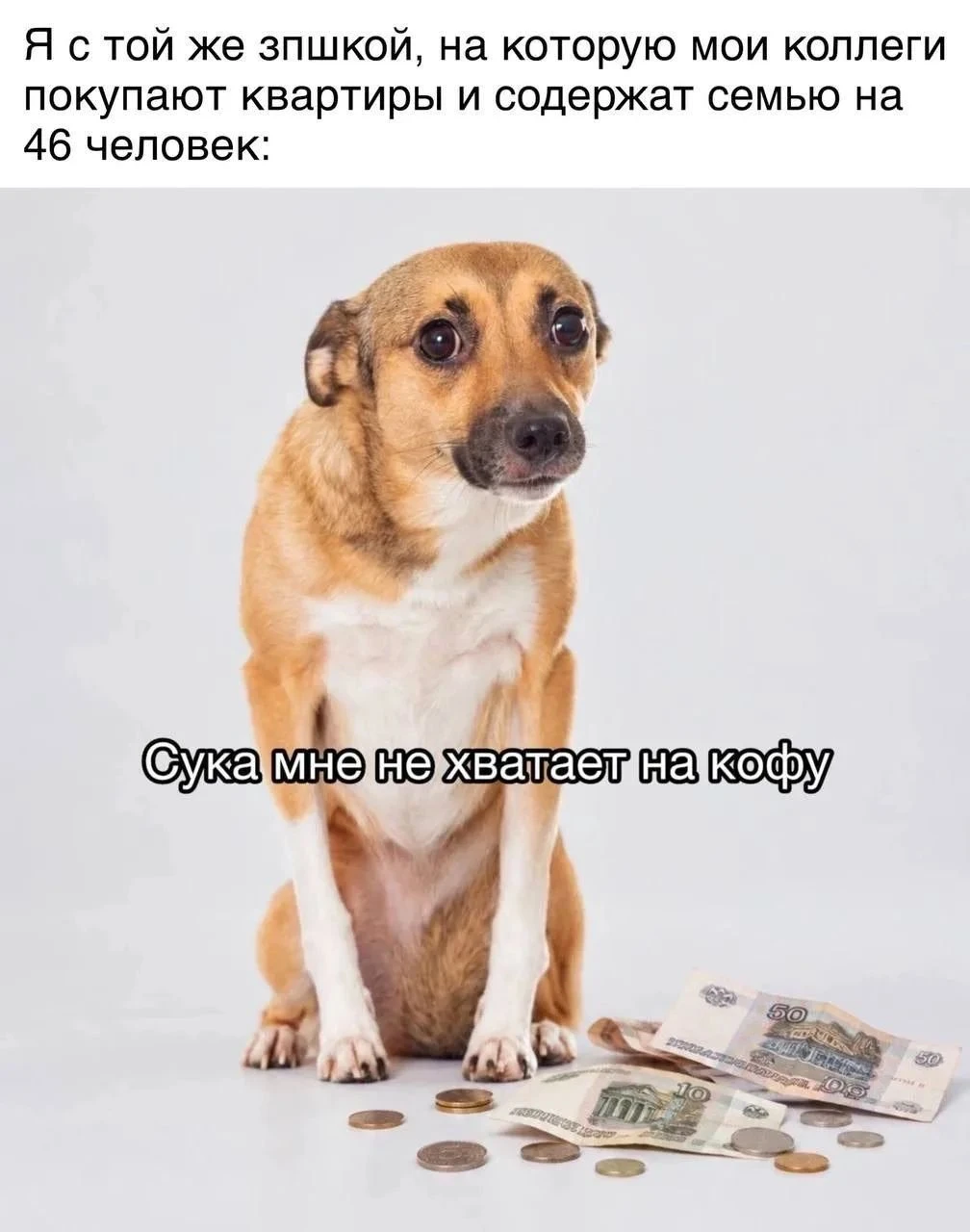 Изображение из поста - изображение