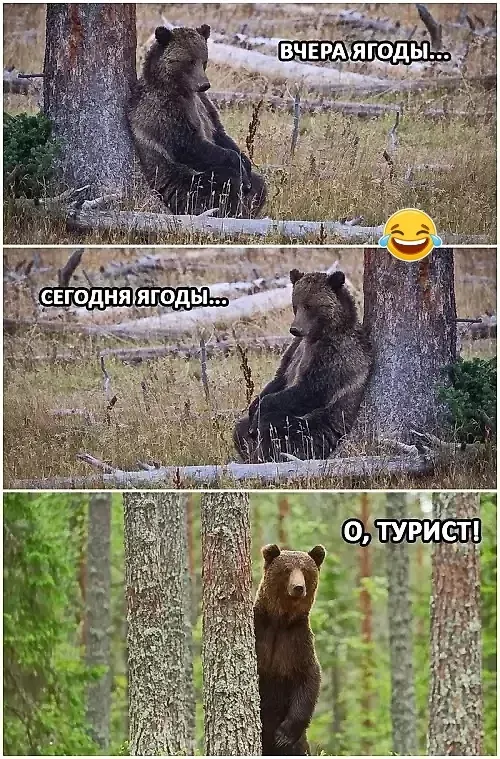 Изображение из поста - изображение