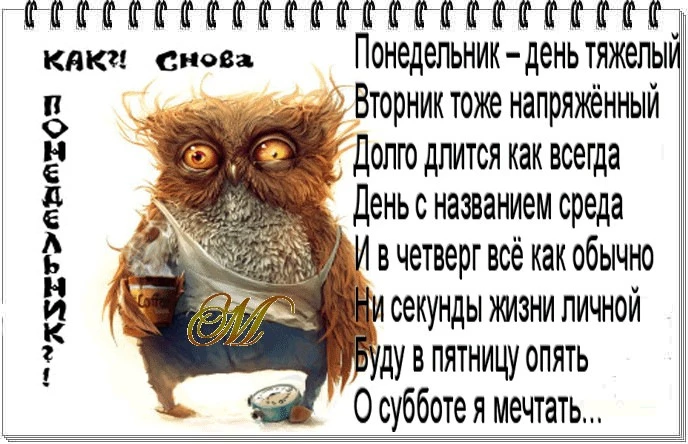 Изображение из поста - изображение