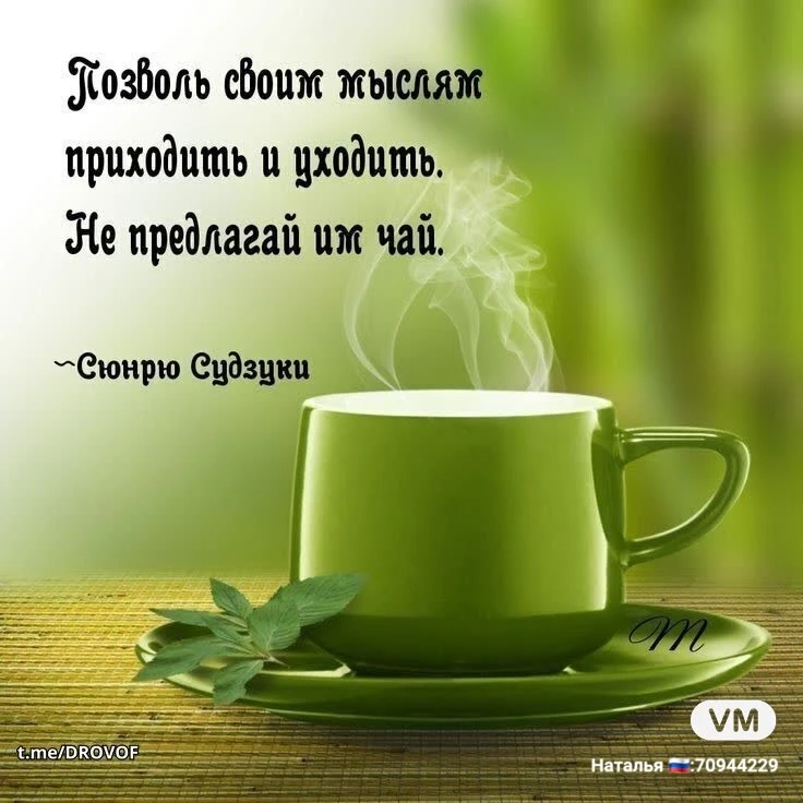 🌿🌿Твои мысли — всего лишь гости. Не зови их на чай. ☕️ Цитата, которая переворачивает всё с ног на голову: - изображение