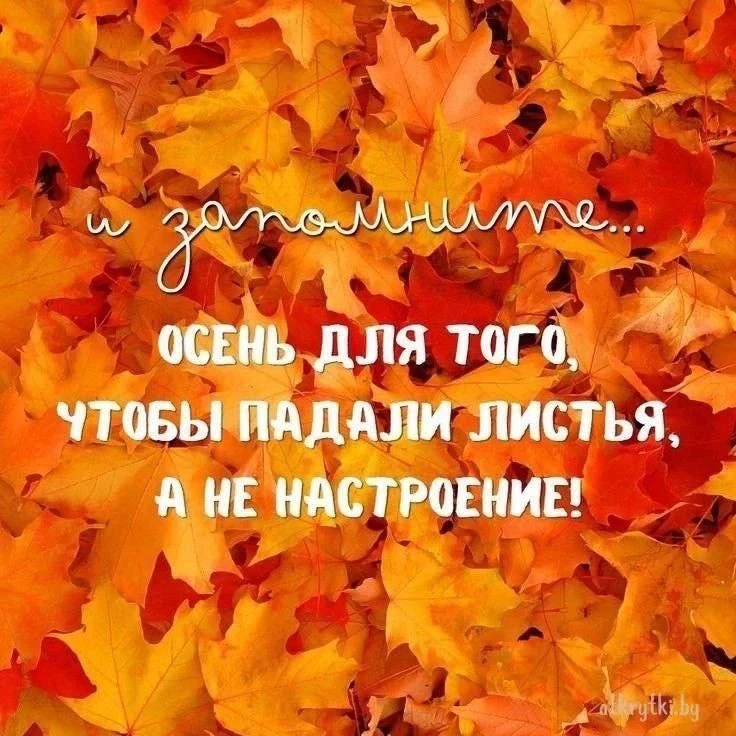 Изображение из поста - изображение