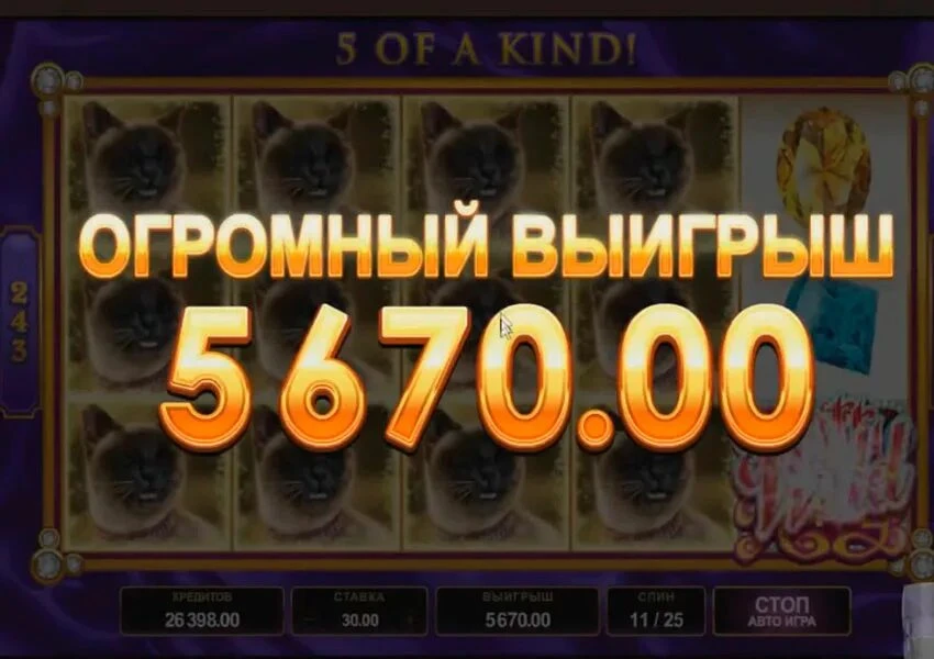 https://lkdb.cc/04d32f - изображение