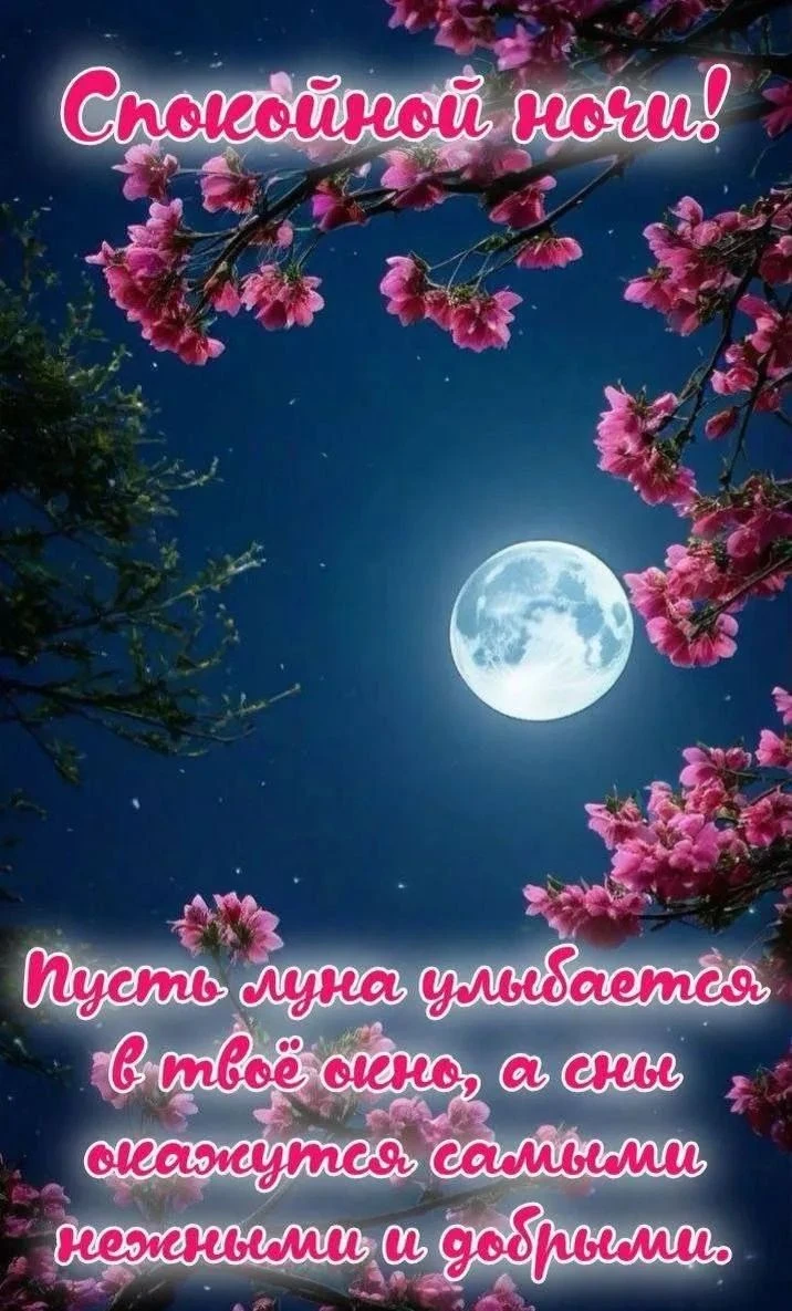 Доброй ночи, исцеляющих снов 🌙 - изображение