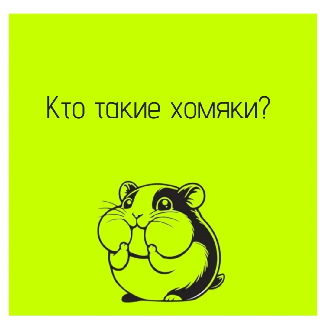 🧩 Представьте: вы увидели в магазине красивую банку с орехами. Внутри - разные: арахис, кешью, миндаль. И вот - изображение