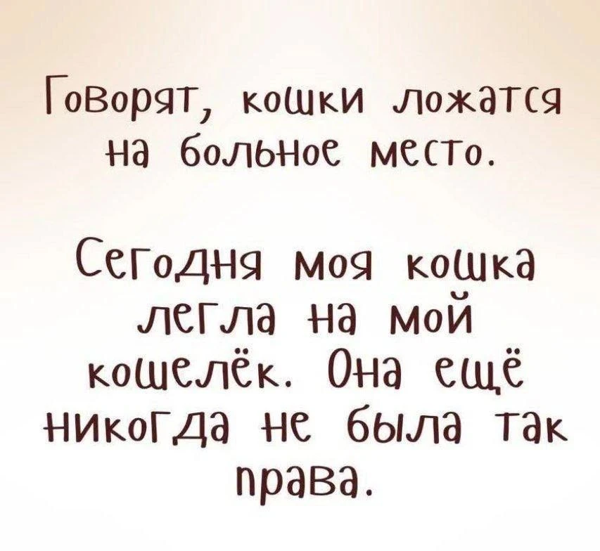 Изображение из поста - изображение