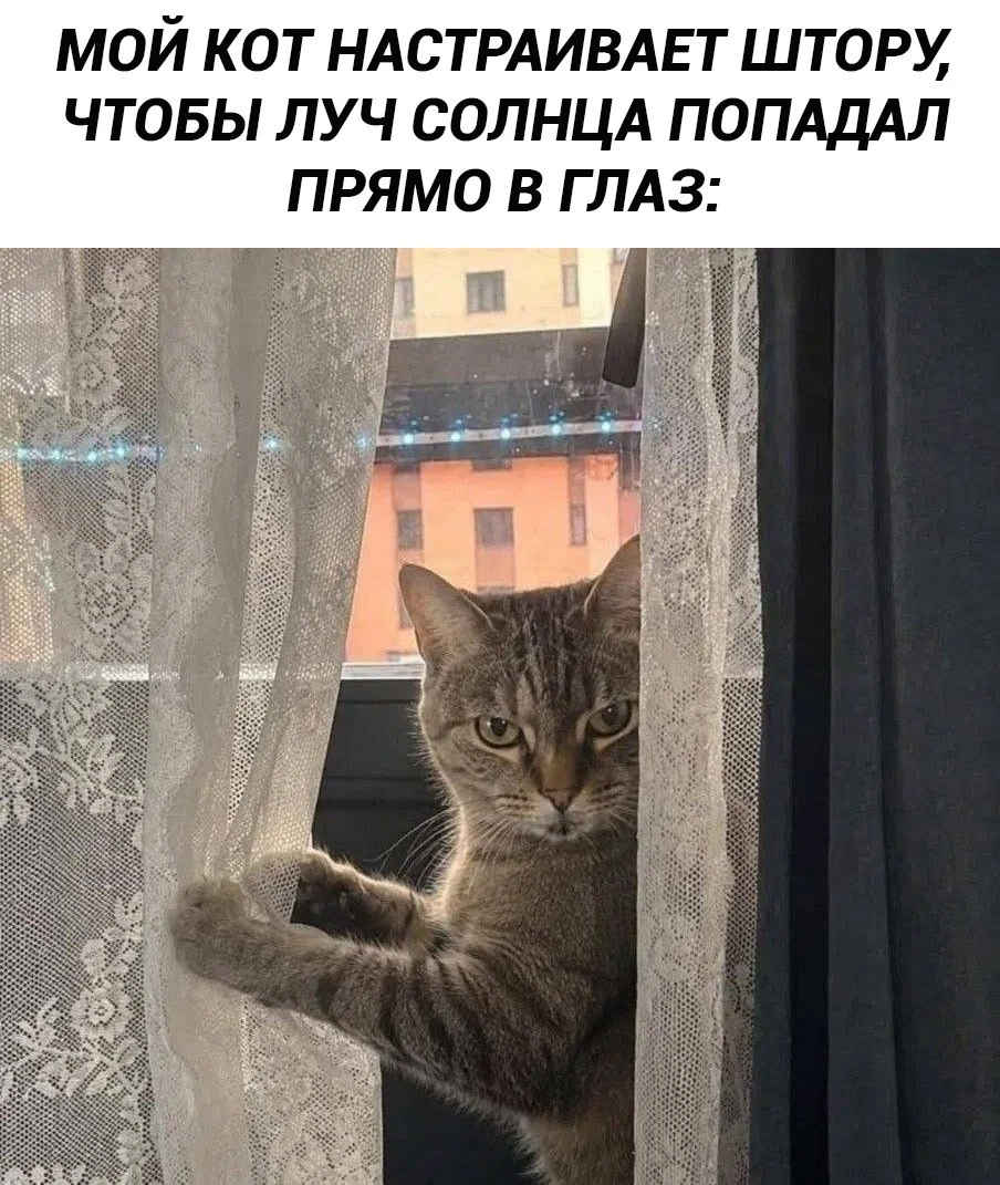 Изображение из поста - изображение