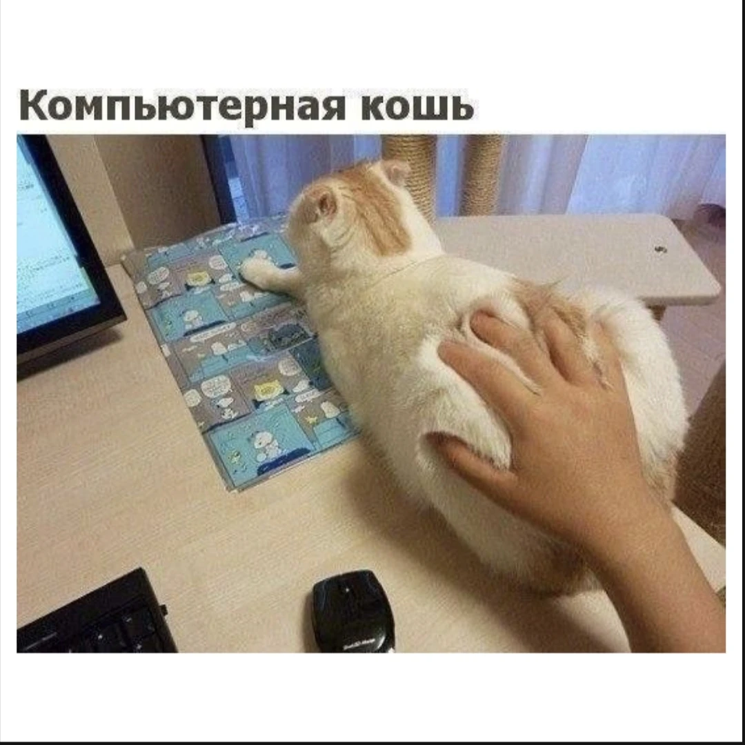 Изображение из поста - изображение