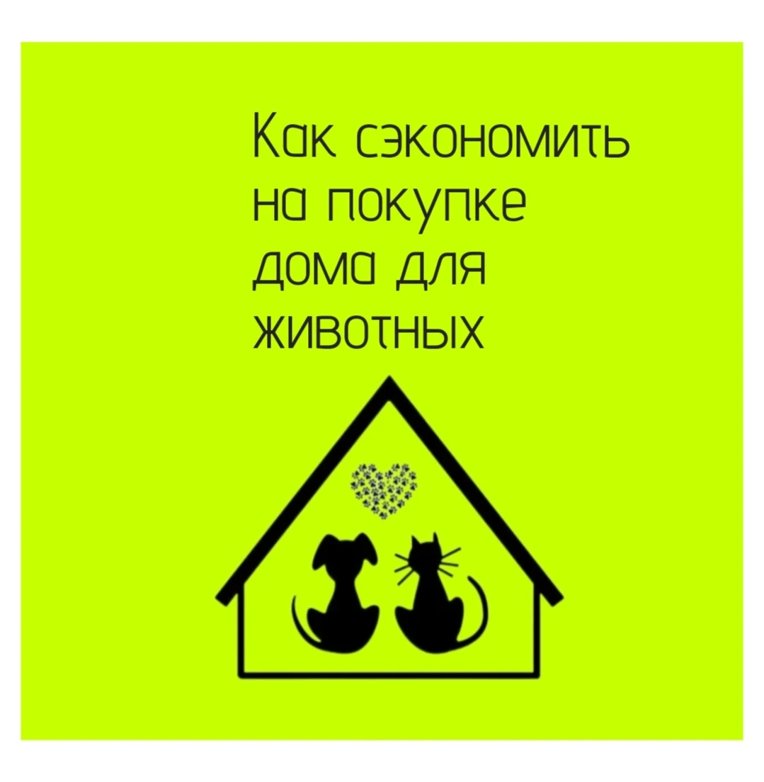 🧩 Главное - найти баланс: чтобы и бюджет не сильно пострадал, и питомцу было комфортно и безопасно. ◽ Сделайте - изображение