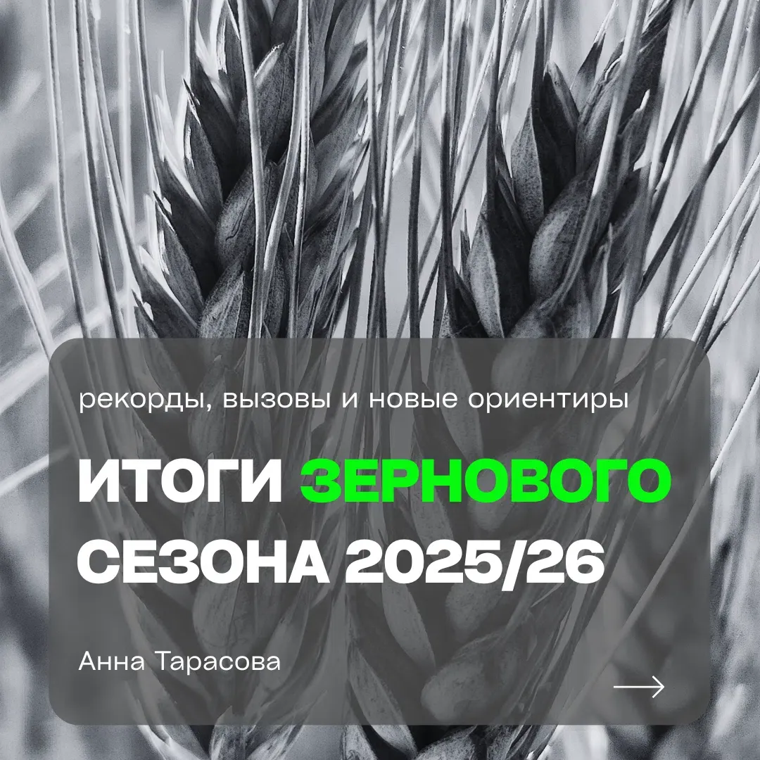 Сезон 2025/26 для российского зернового рынка стал историей в формате «много собрали, но мало заработали». С - изображение
