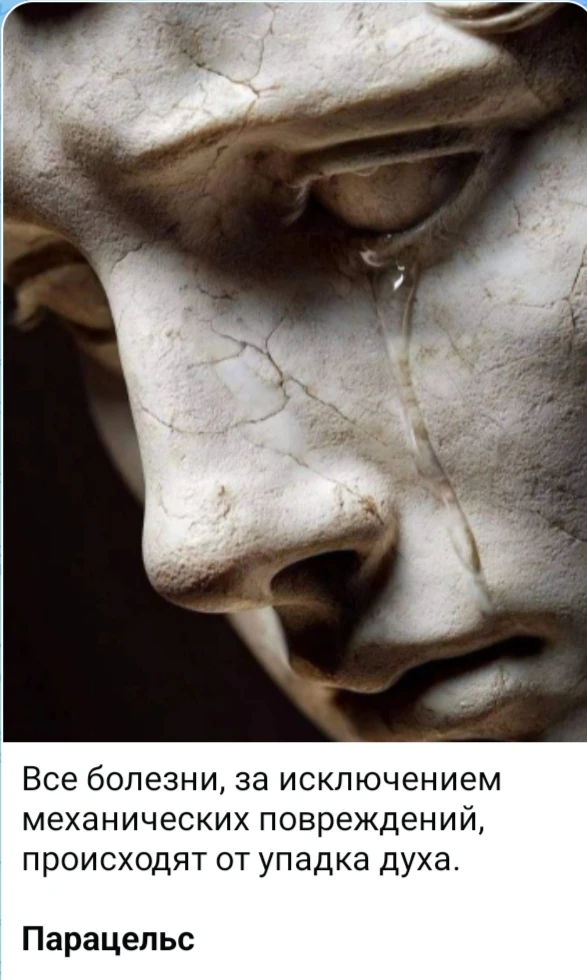 Изображение из поста - изображение