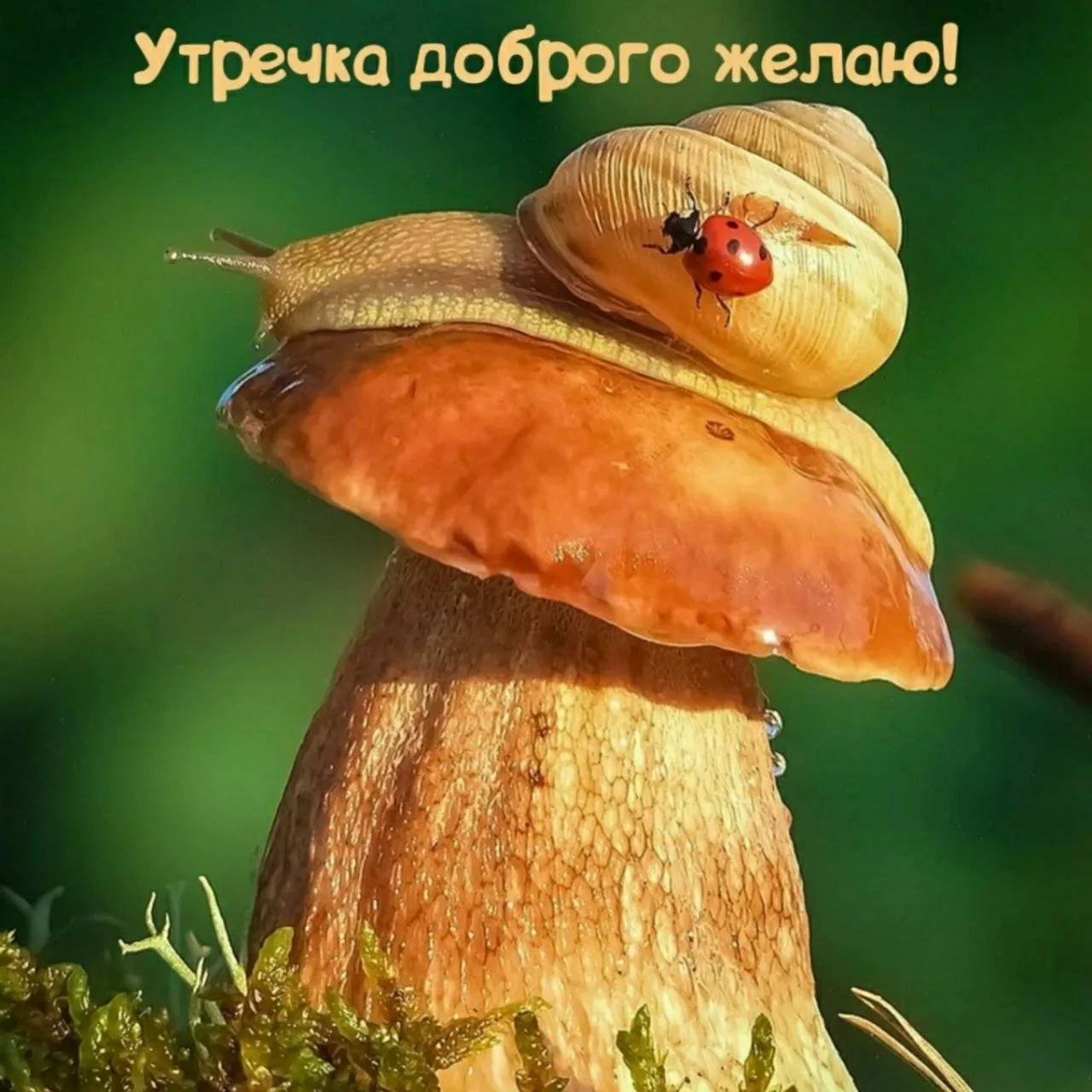 Счастливого дня - изображение