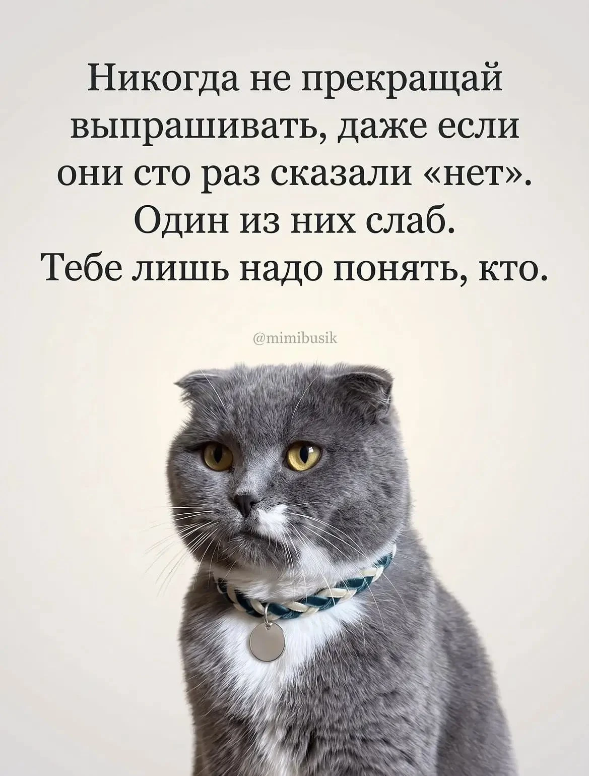 🤣🤣🤣 - изображение