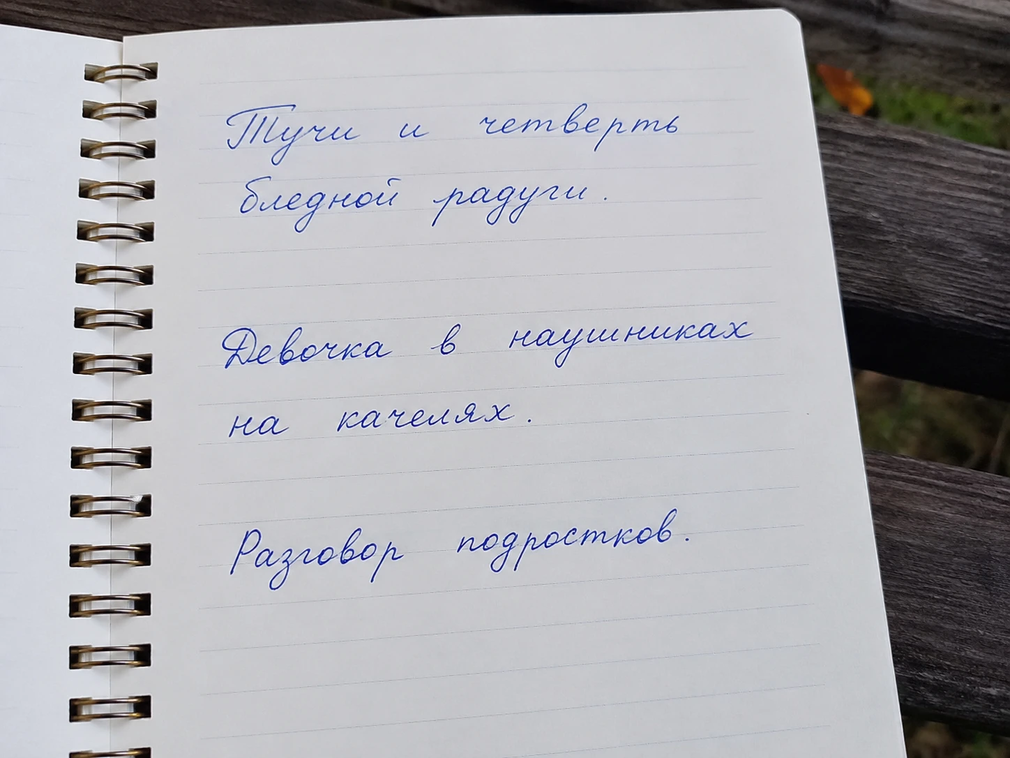 Я начала учиться в Школе писателей «Шторм». И первое же задание мне неожиданно очень понравилось. Казалось бы, - изображение