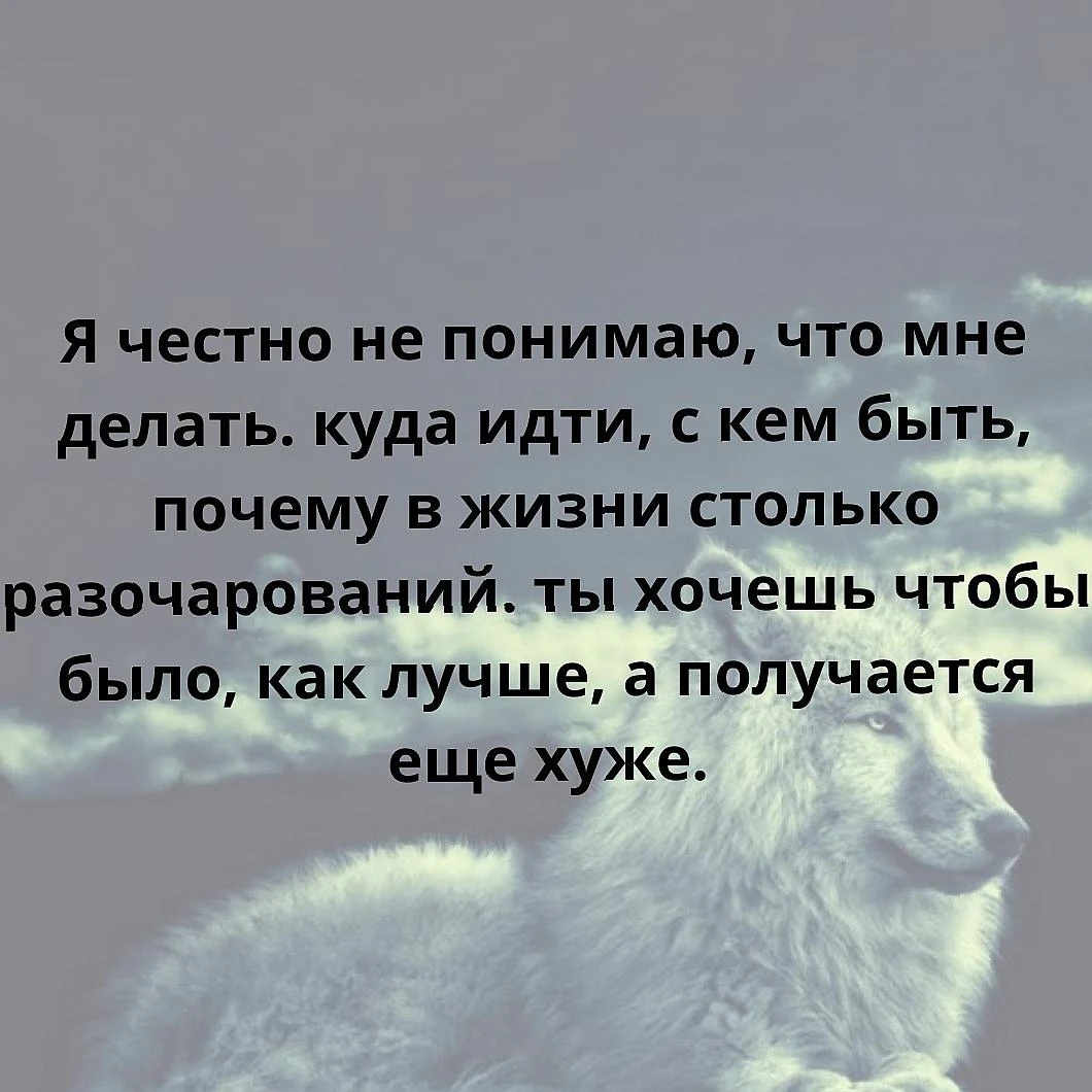 #базар - изображение