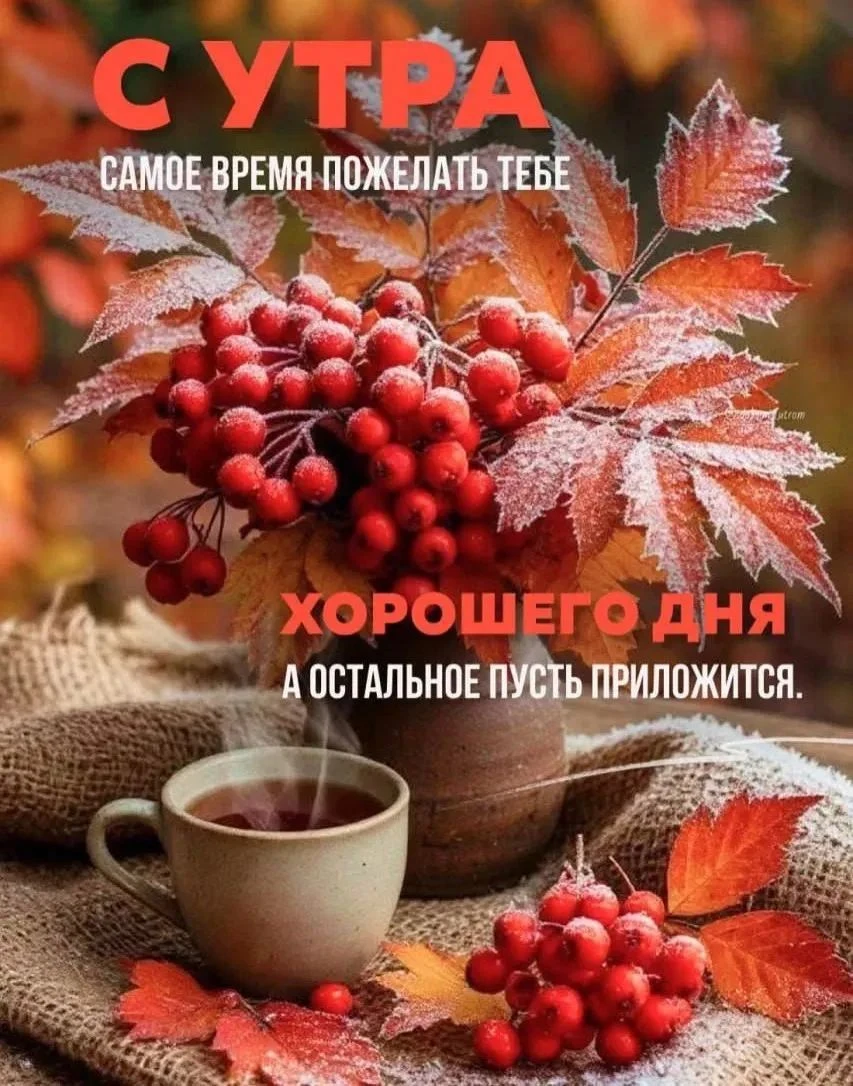 Изображение из поста - изображение
