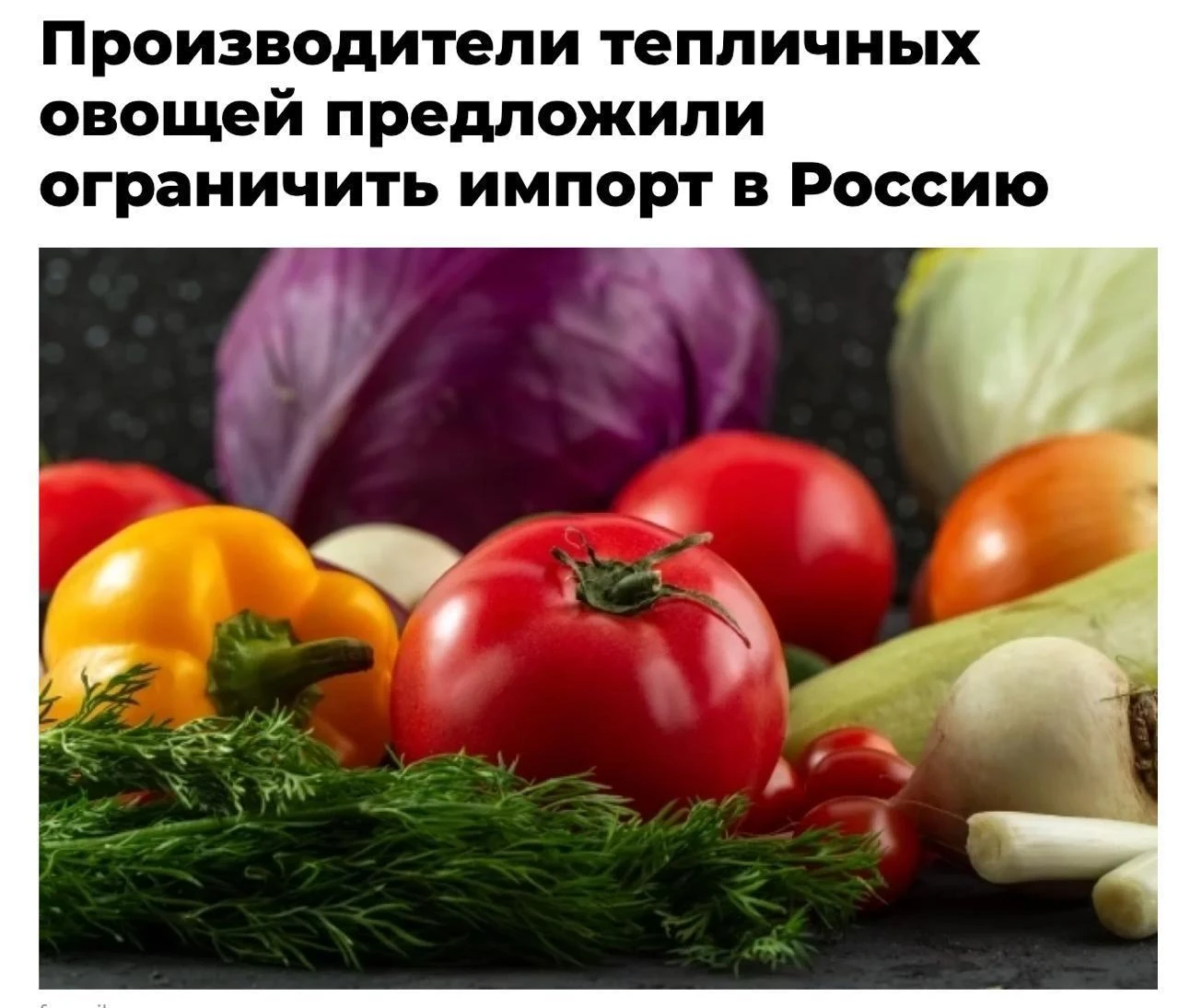 🥒🍅 «Утильсбор» на импортные огурцы, томаты и другую тепличную продукцию предложили ввести российские - изображение