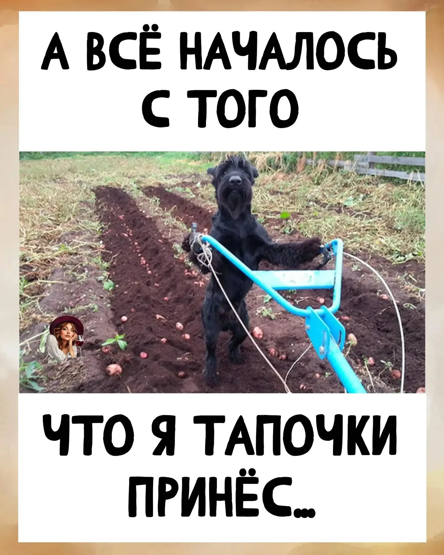 Изображение из поста - изображение
