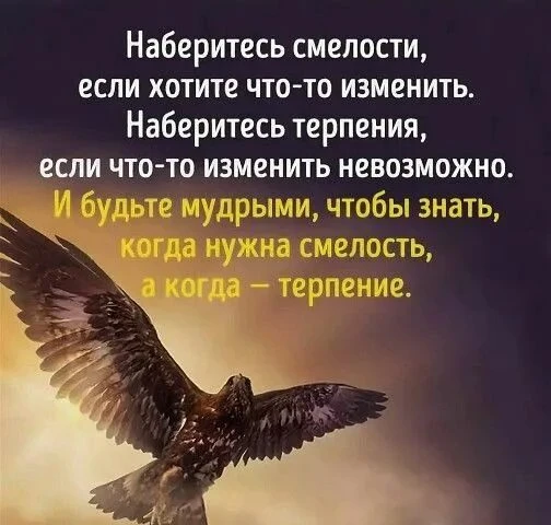 Изображение из поста - изображение