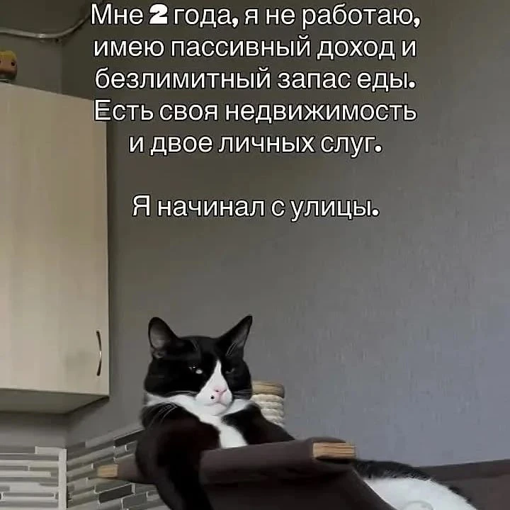 Изображение из поста - изображение