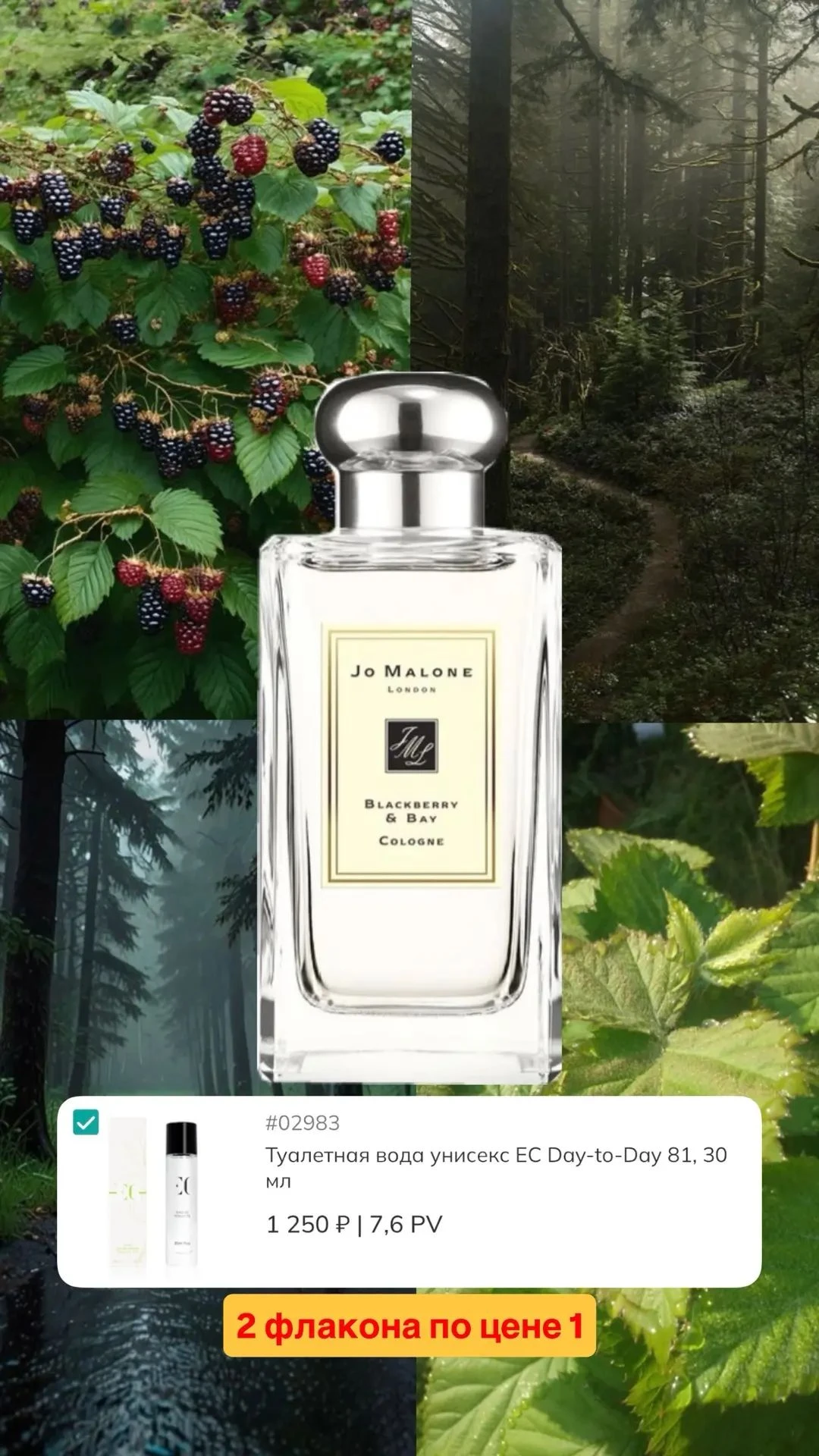 #Туалетная Вода Унисекс 81– Версионный эквивалент: Jo Malone Blackberry & Bay 82– Версионный эквивалент: Jo - изображение