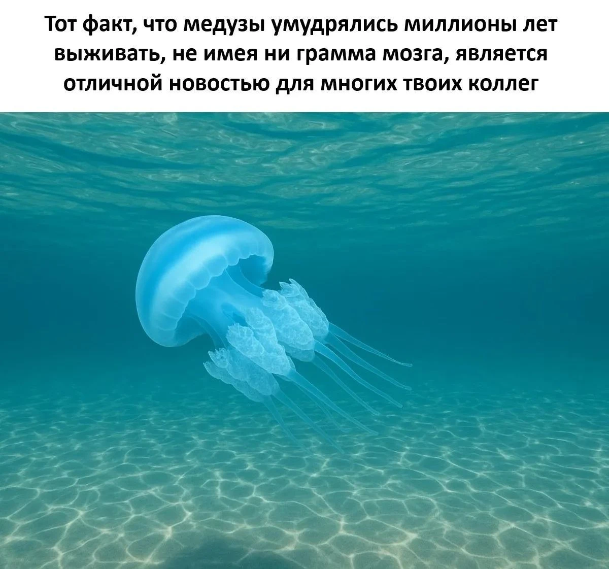 💯😁 - изображение