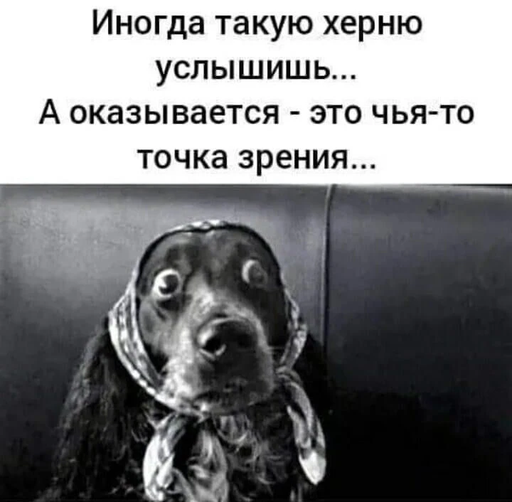 #юмор - изображение