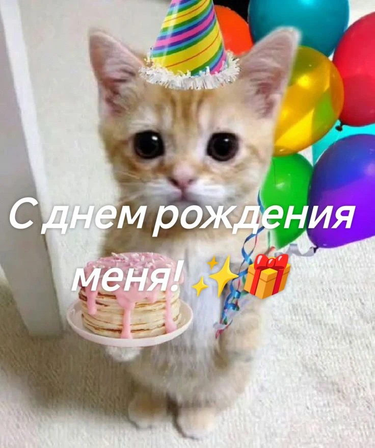 Изображение из поста - изображение