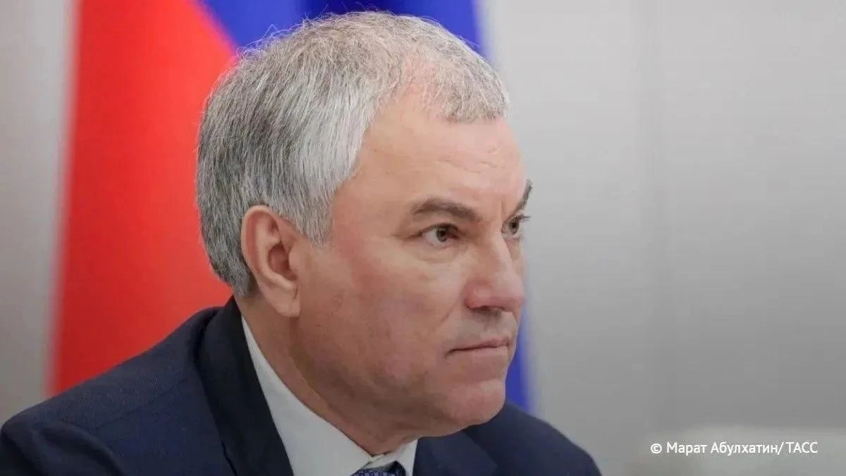 👔 Англия нанесла огромный вред многим странам, заявил Володин: "Плач до сих пор стоит и в Индии, и в Африке, и - изображение
