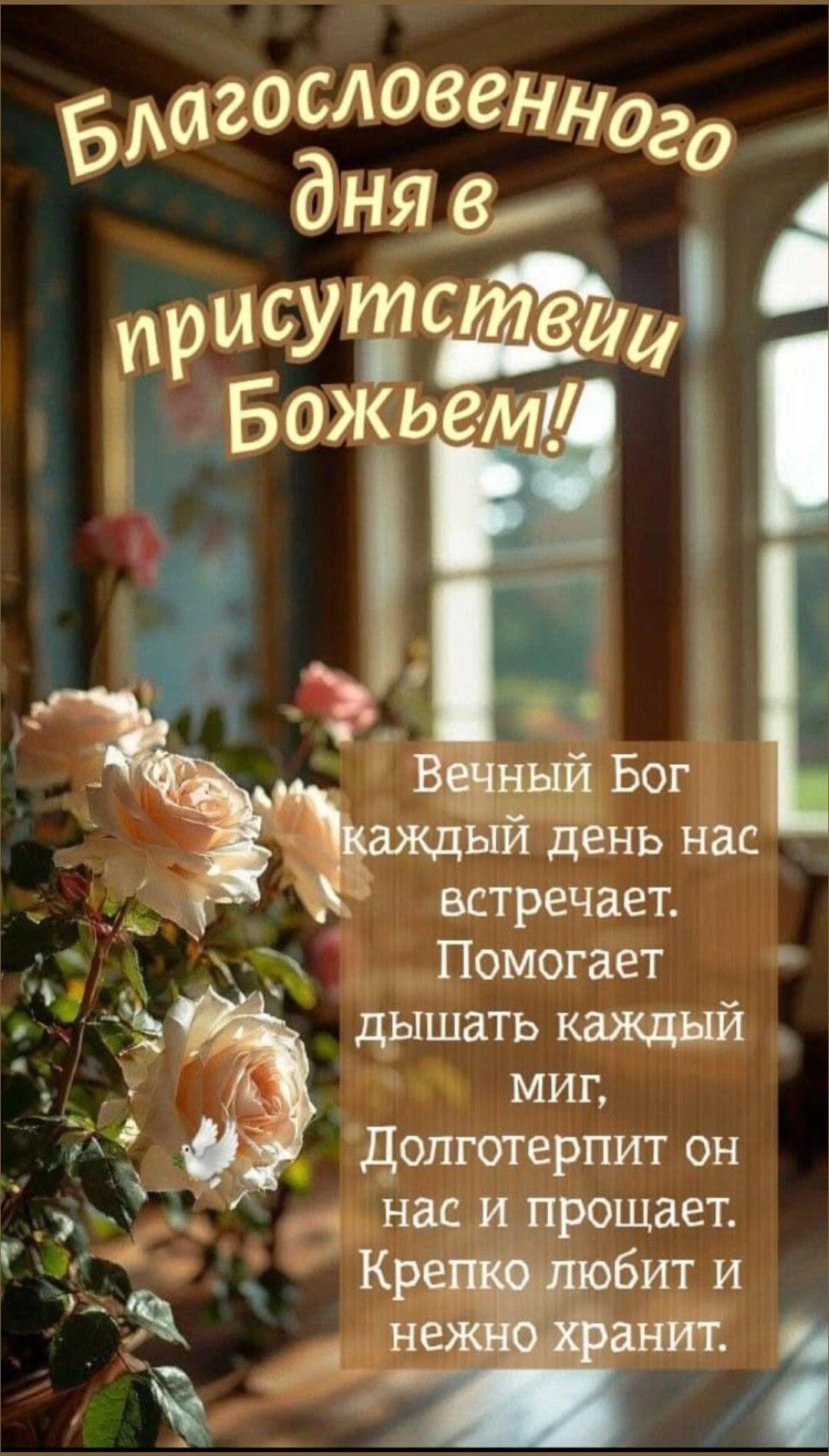 Изображение из поста - изображение