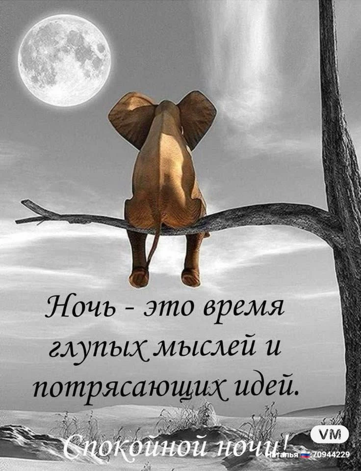 💼Часто в поиске высокого, в попытках стать "лучше" или "чище", мы забываем о самом простом и главном условии - изображение