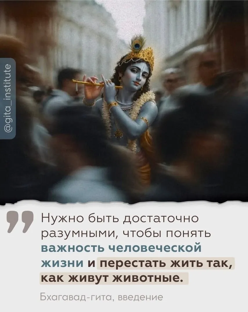Изображение из поста - изображение